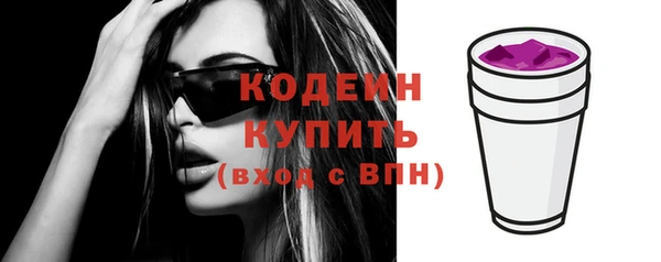 стаф Козельск