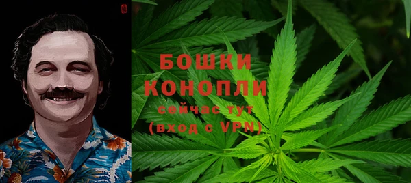 стаф Козельск