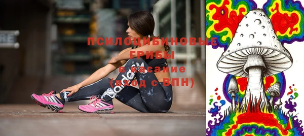 индика Бердск