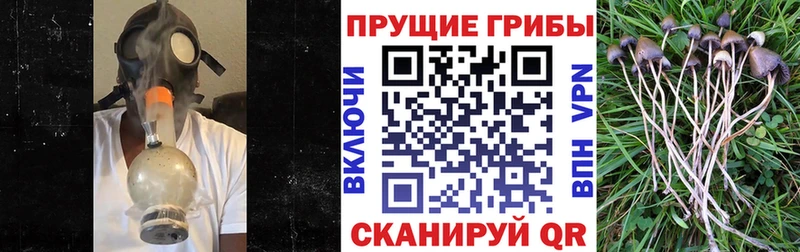 Галлюциногенные грибы прущие грибы  Купить  Ефремов 